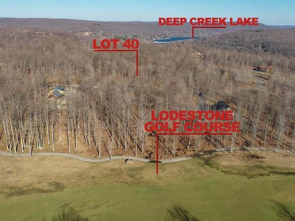 40 FERN LOOP, MC HENRY, MD 21541