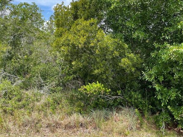 33514, 33522,33528 WASHINGTON LOOP ROAD, PUNTA GORDA, FL 33982