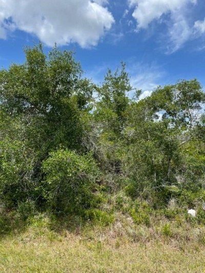 33514, 33522,33528 Washington Loop Road, Punta Gorda, FL 33982 Photo