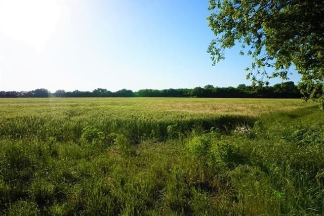 168 Ac Fm 156, Sanger, TX 76266 Main Photo