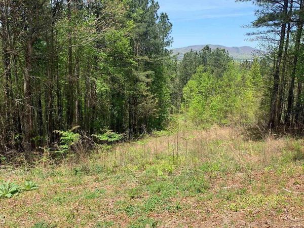 LOT 28 Loftis Mountain, Blairsville, GA 30512
