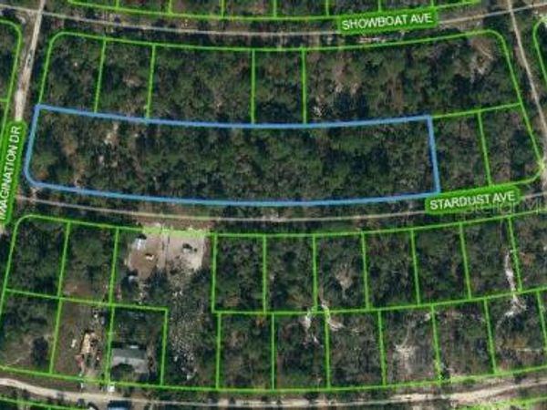 350 STARDUST AVENUE, LAKE PLACID, FL 33852