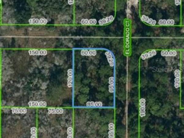 251 TANNERY LANE, LAKE PLACID, FL 33852