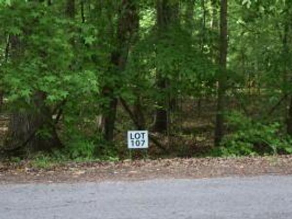 Lot 107 Treasure Tree Rd, Ten Mile, TN 37880
