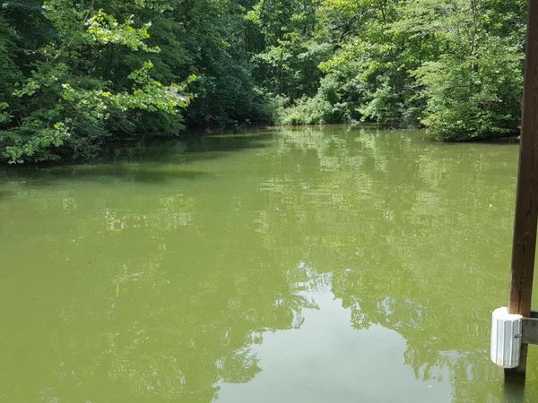 Lot 108 Treasure Tree Rd, Ten Mile, TN 37880