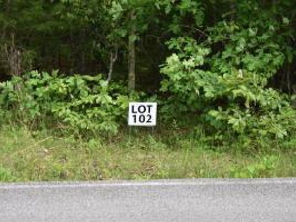 Lot 102 Halfmoon Shores Drive, Ten Mile, TN 37880