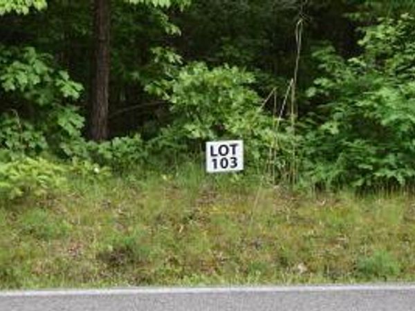 Lot 103 Halfmoon Shores Drive, Ten Mile, TN 37880
