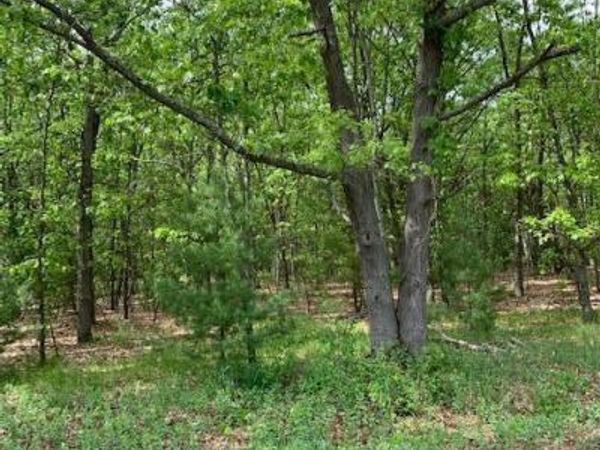 Lot 12 Lakeshore Street, Montague, MI 49437