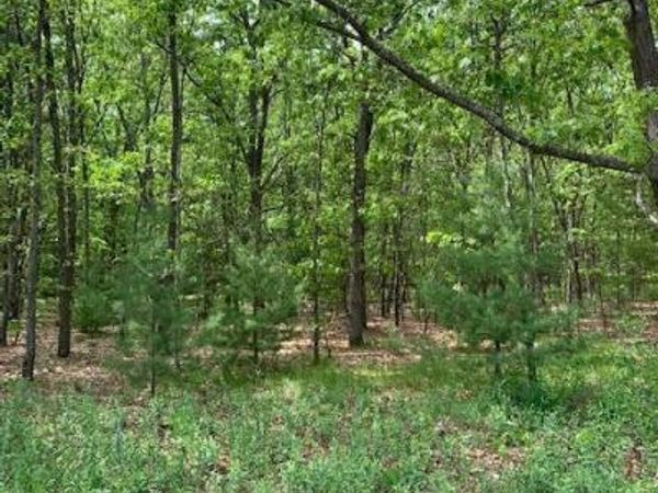 Lot 11 Lakeshore Street, Montague, MI 49437