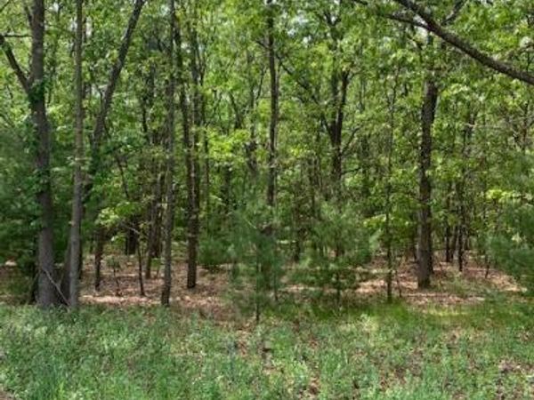 Lot 10 Lewanee Street, Montague, MI 49437