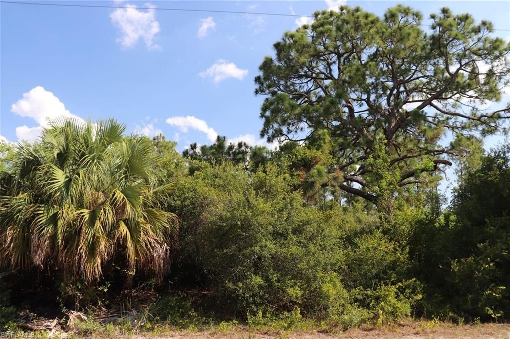 4244 E 24th St, Alva, FL 33920 Photo