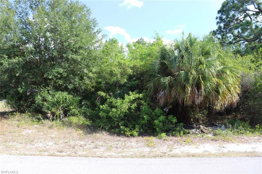 4244 E 24th St, Alva, FL 33920 Photo