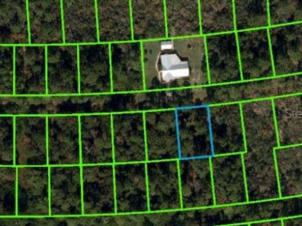 225 CASWELL LANE, LAKE PLACID, FL 33852