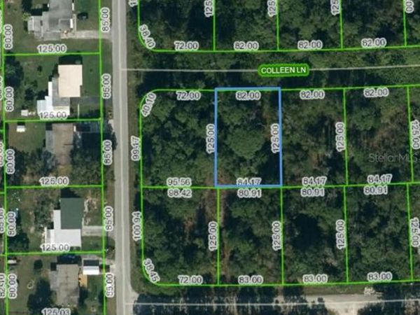 205 COLLEEN LANE, LAKE PLACID, FL 33852