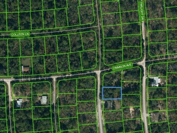 233 DREAMERS DRIVE, LAKE PLACID, FL 33852
