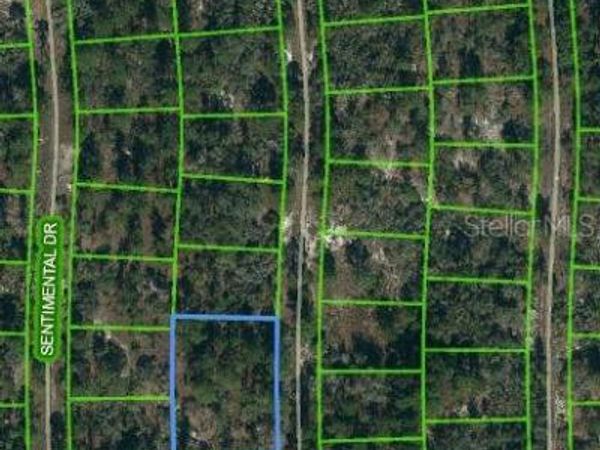 244 SUNFLOWER DRIVE, LAKE PLACID, FL 33852