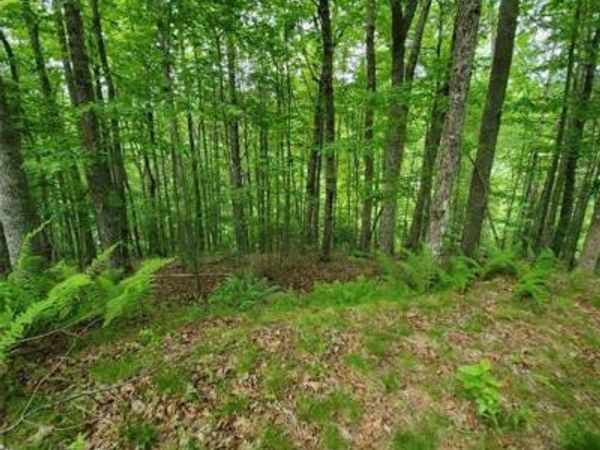 141 River Club Trail, Marshall, NC 28753