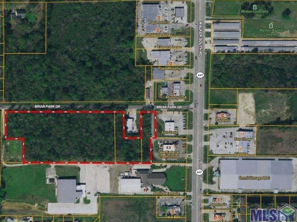 73 acres Brian Park Dr, Walker, LA 70785