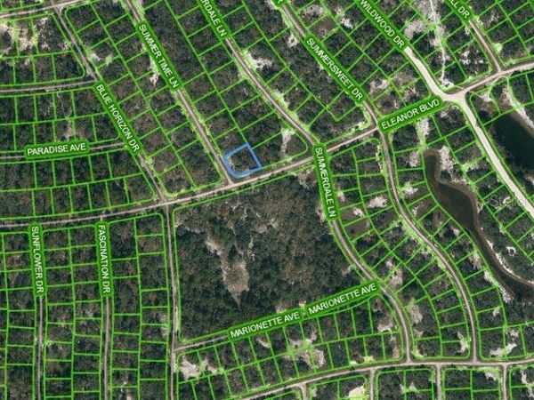 384 ELEANOR BOULEVARD, LAKE PLACID, FL 33852