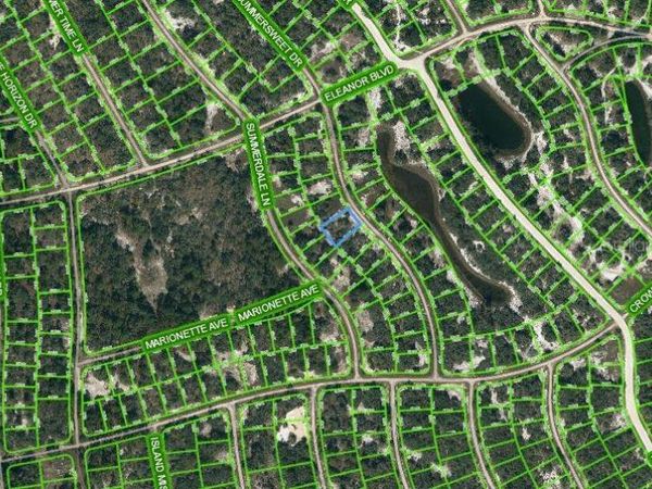 316 SUMMERSWEET DRIVE, LAKE PLACID, FL 33852