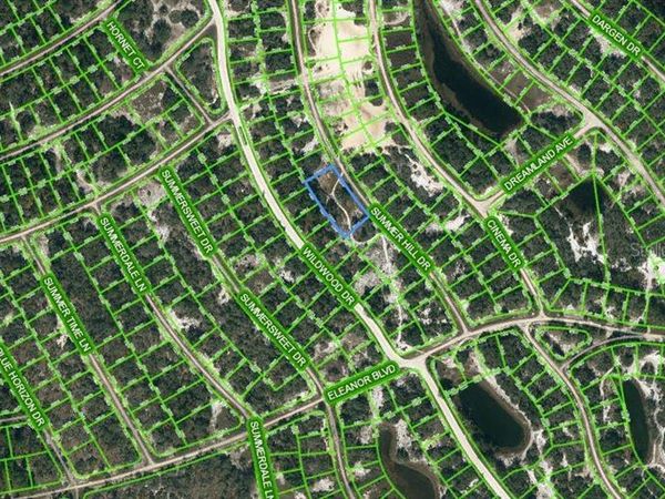 314 DRAMA DRIVE, LAKE PLACID, FL 33852