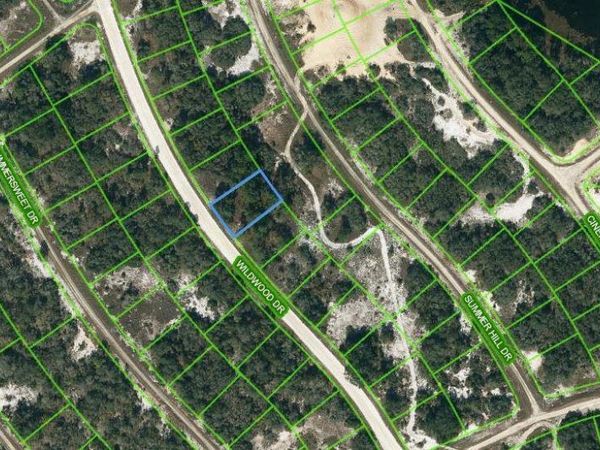 315 WILDWOOD DRIVE, LAKE PLACID, FL 33852