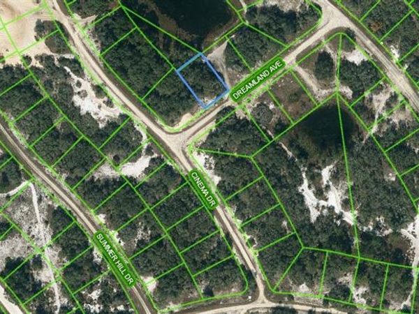 506 DREAMLAND AVENUE, LAKE PLACID, FL 33852