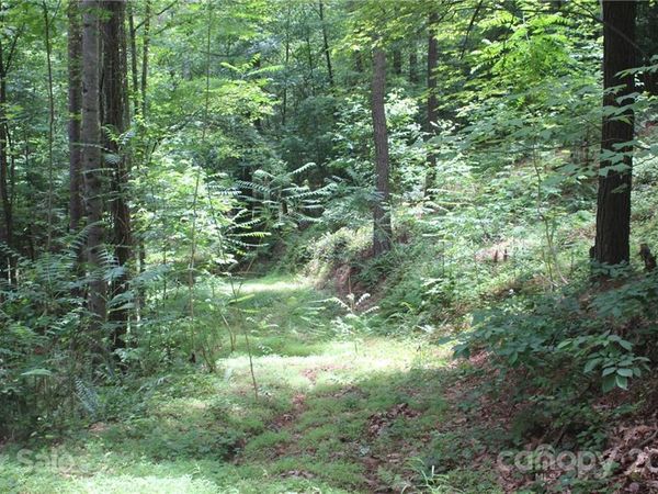 2202 Island View Lane NE, Connelly Springs, NC 28612