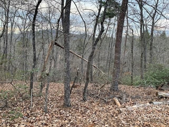 301 Otter Lane, Lake Lure, NC 28746 Main Photo