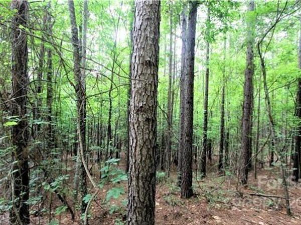 0 Chasewood Drive, Rutherfordton, NC 28139