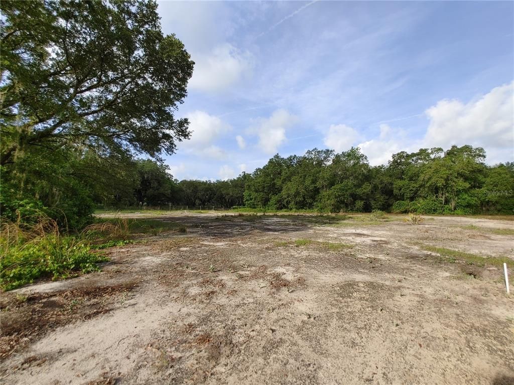 7819 E Elm Street, Tampa, FL 33610 Photo