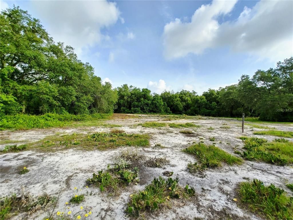 7819 E Elm Street, Tampa, FL 33610 Photo