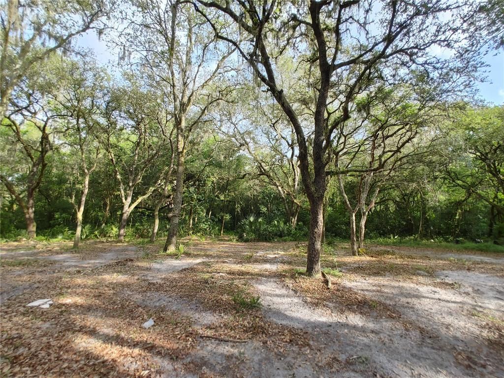 7819 E Elm Street, Tampa, FL 33610 Photo