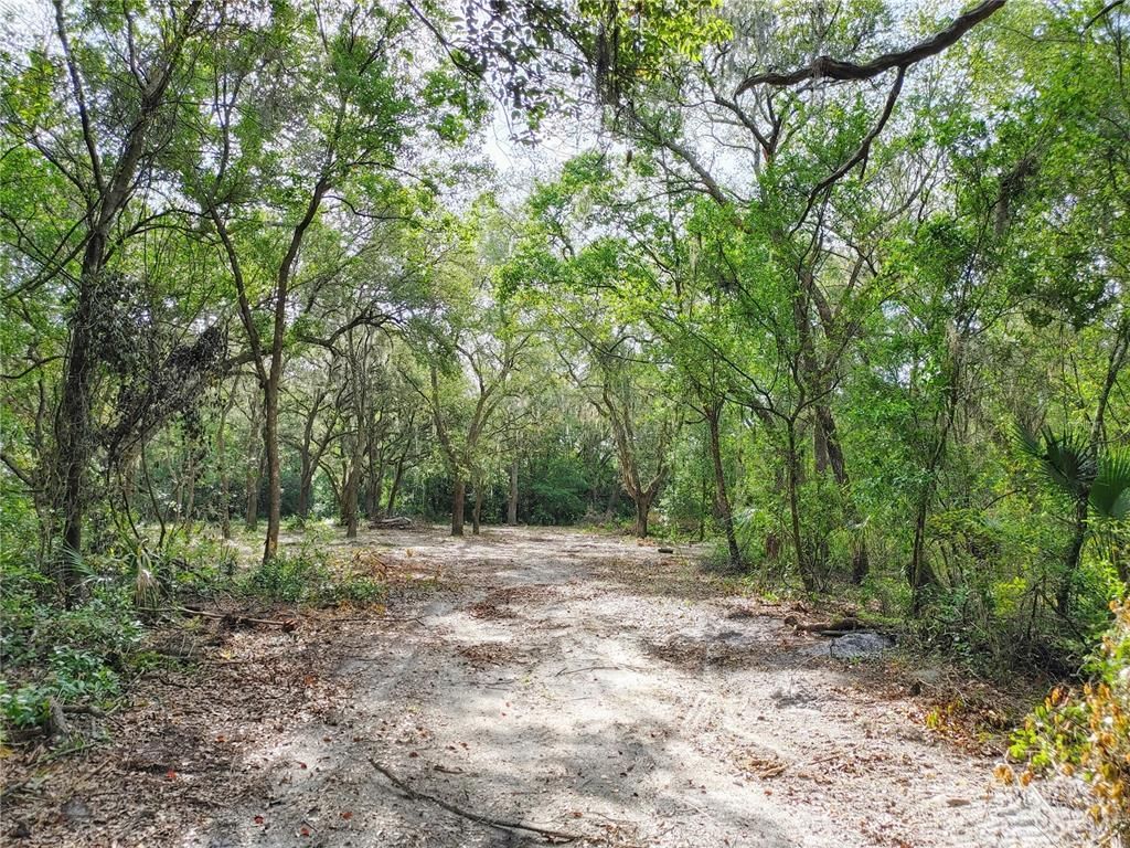 7819 E Elm Street, Tampa, FL 33610 Photo