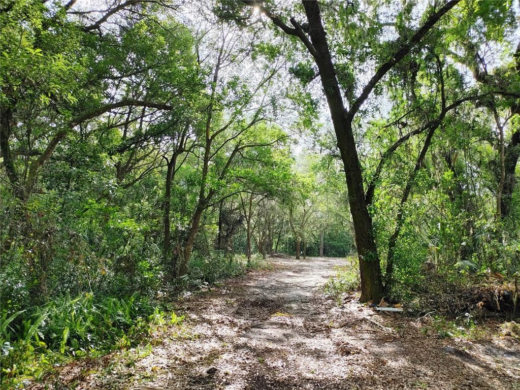 7819 E Elm Street, Tampa, FL 33610 Photo