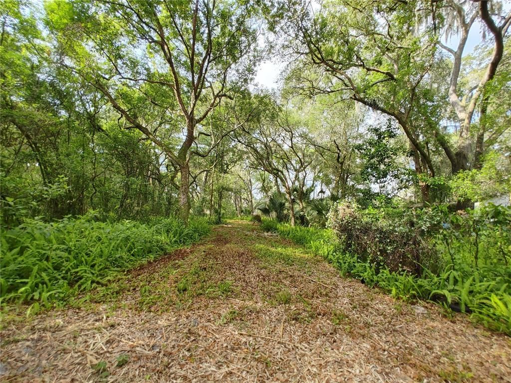 7819 E Elm Street, Tampa, FL 33610 Photo