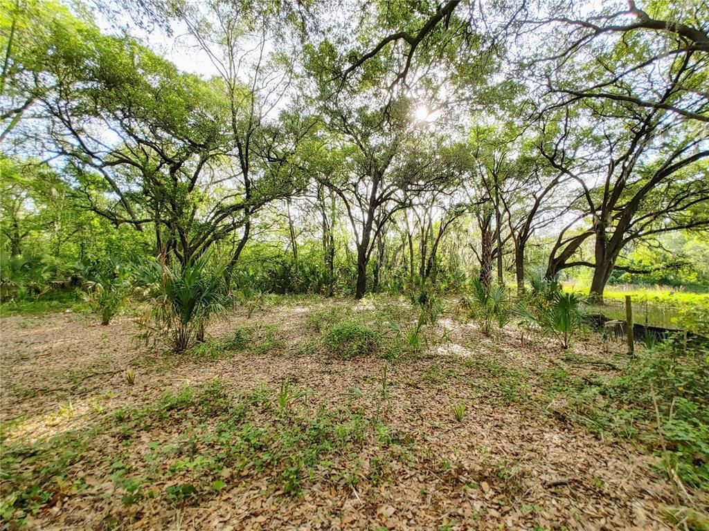 7819 E Elm Street, Tampa, FL 33610 Photo