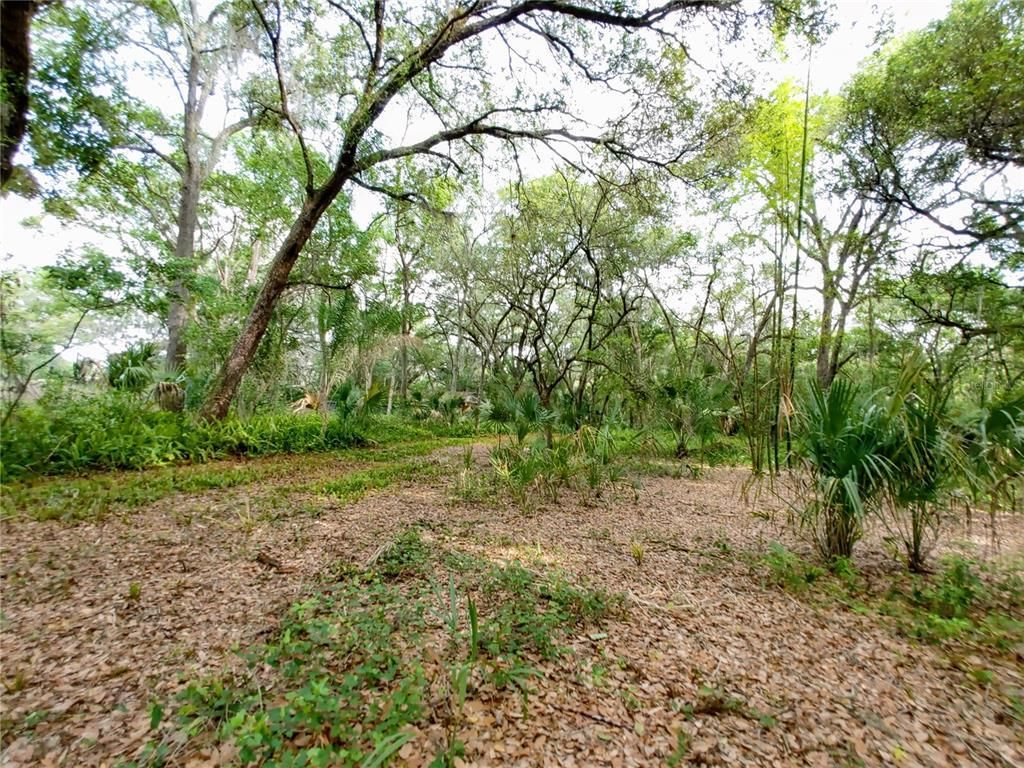 7819 E Elm Street, Tampa, FL 33610 Photo