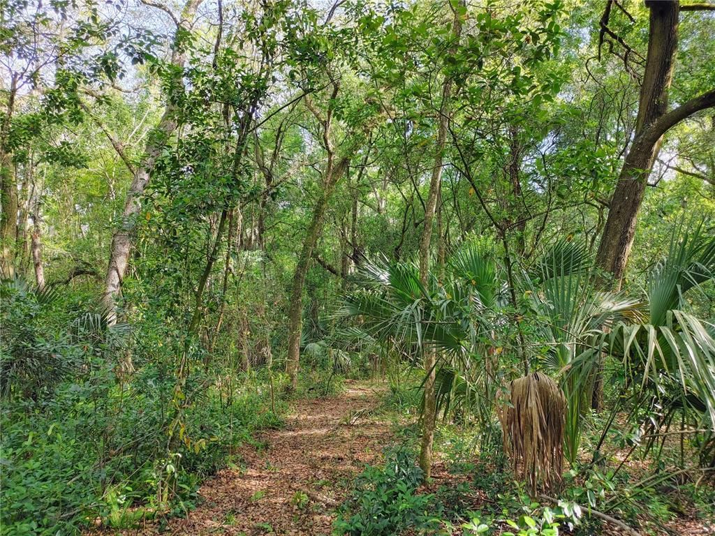 7819 E Elm Street, Tampa, FL 33610 Photo