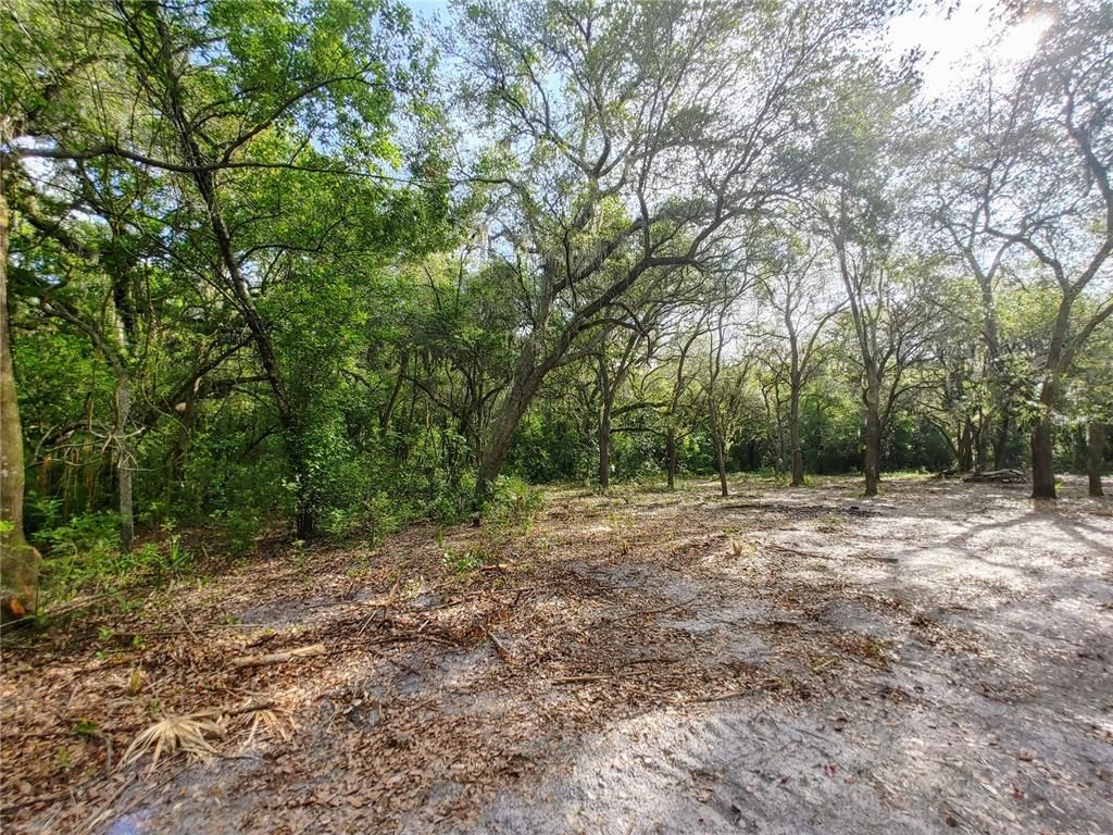 7819 E Elm Street, Tampa, FL 33610 Photo