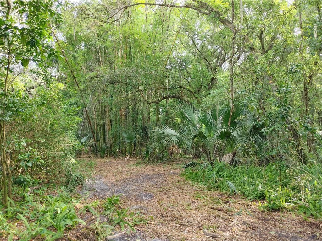 7819 E Elm Street, Tampa, FL 33610 Photo