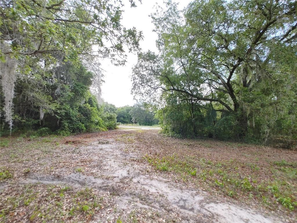 7819 E Elm Street, Tampa, FL 33610 Photo