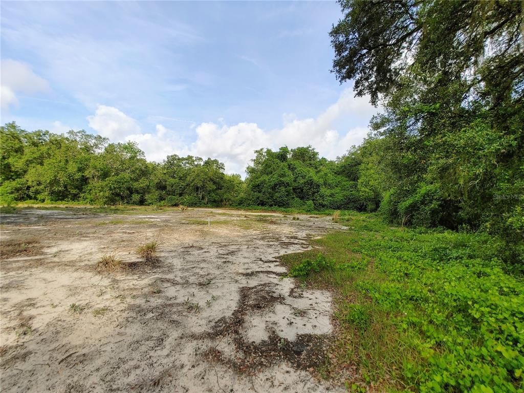 7819 E Elm Street, Tampa, FL 33610 Photo