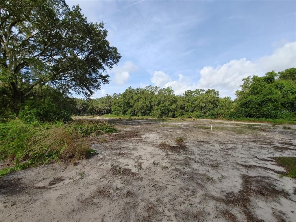 7819 E Elm Street, Tampa, FL 33610 Photo