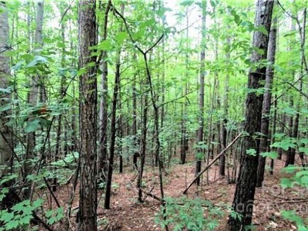 0 Chasewood Drive, Rutherfordton, NC 28139