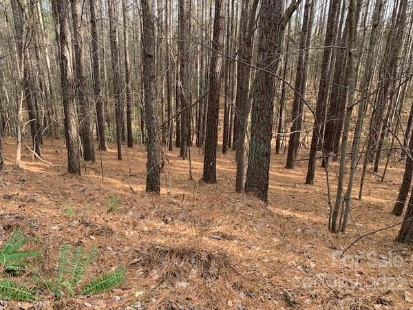 0 Chasewood Drive, Rutherfordton, NC 28139