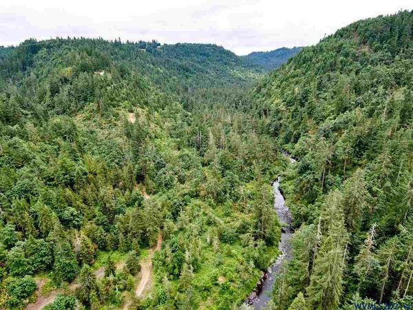 Silver Creek Canyon (R38780), Silverton, OR 97381