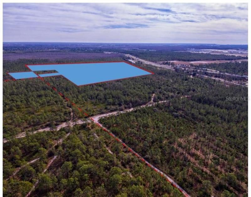 International Drive, Orlando, FL 32821 Photo