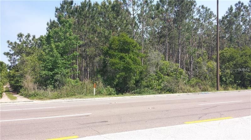 International Drive, Orlando, FL 32821 Photo