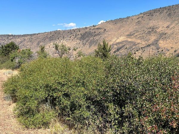 Lot 40 Peregrine Heights, Klamath Falls, OR 97601